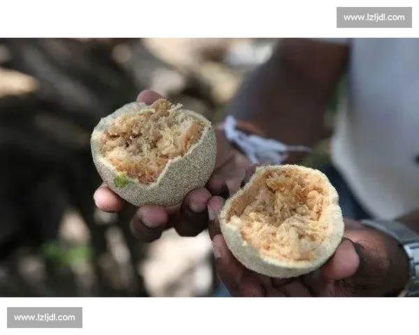 英歌舞助阵难救主！韶关主场逆转未果憾负潮州